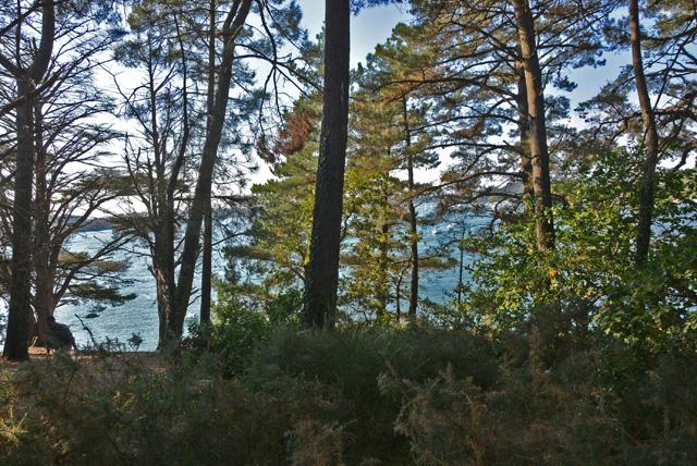 min 2016 10 14 morbihan 183